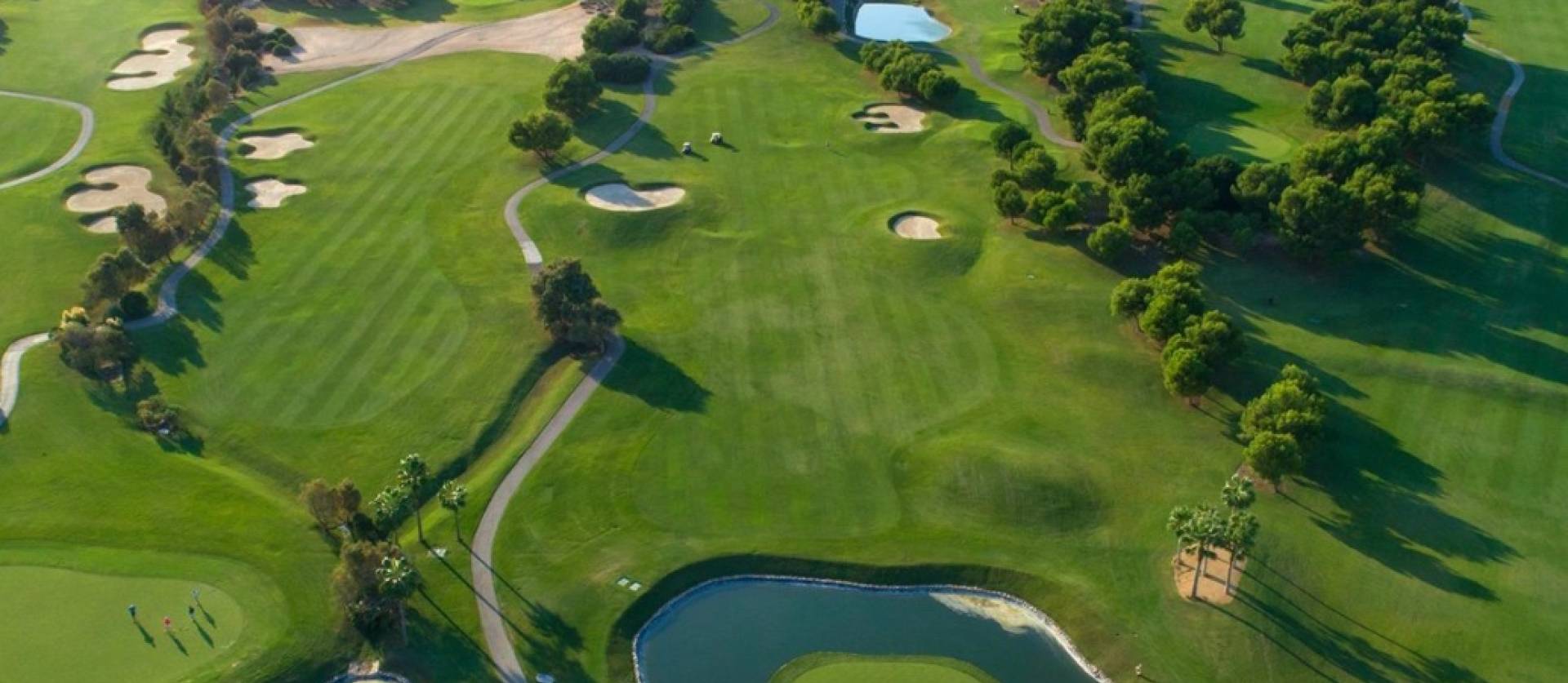 New Build - Villa - Pilar de la Horadada - Lo Romero Golf