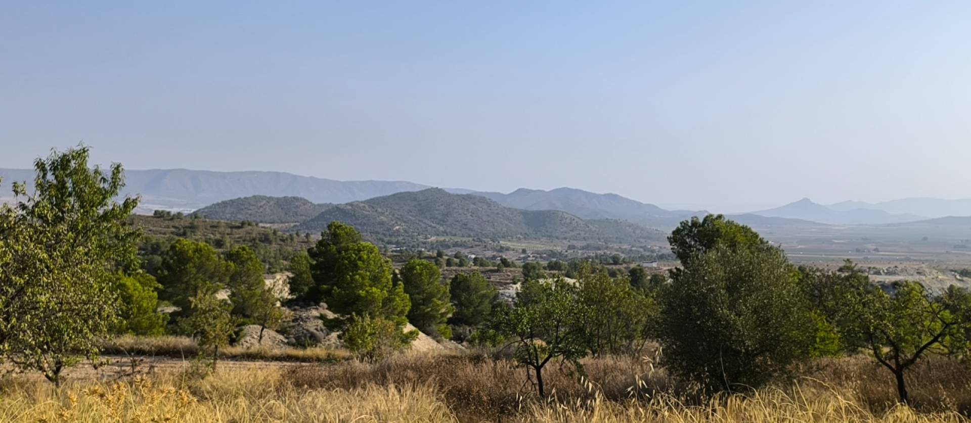 Sale - Commercial - Casas del Senor