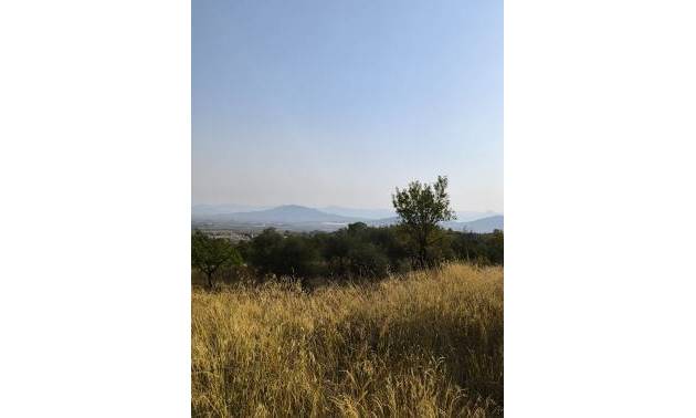 Sale - Commercial - Casas del Senor