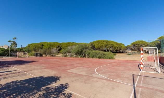 Sale - Apartment - Guardamar del Segura - Urb. pinomar