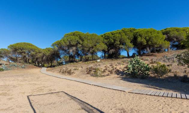 Sale - Apartment - Guardamar del Segura - Urb. pinomar