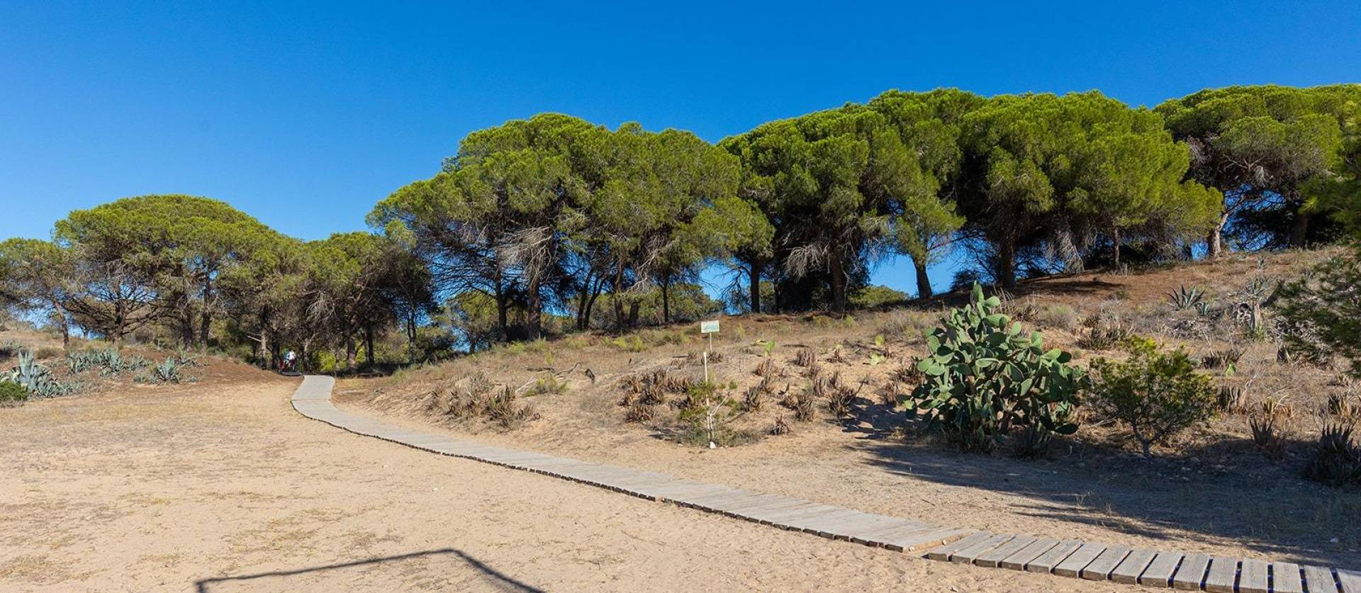 Sale - Apartment - Guardamar del Segura - Urb. pinomar