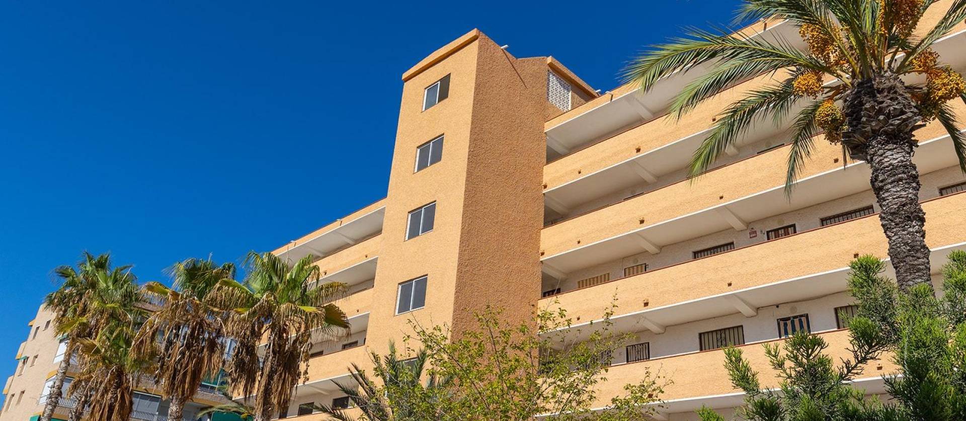 Sale - Apartment - Guardamar del Segura - Urb. pinomar