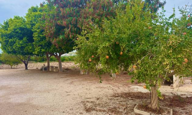 Sale - Country House - Rojales - Ciudad Quesada