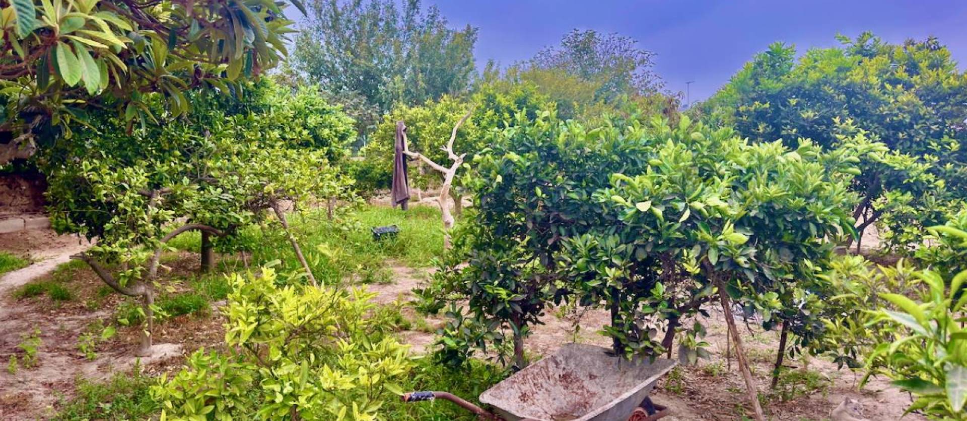 Sale - Country House - Rojales - Ciudad Quesada