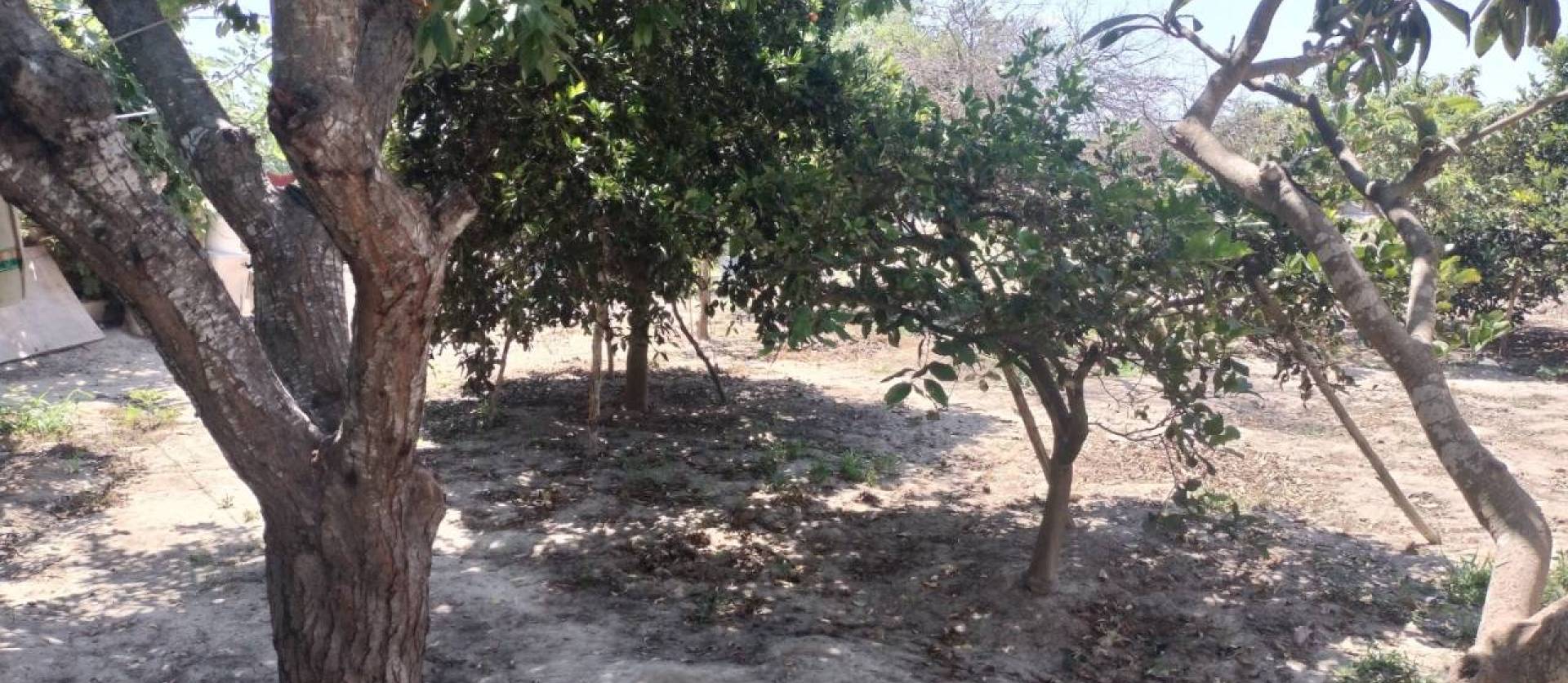 Sale - Country House - Rojales - Ciudad Quesada