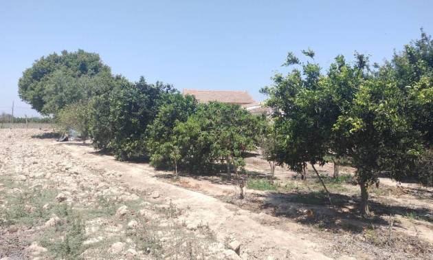 Sale - Country House - Rojales - Ciudad Quesada