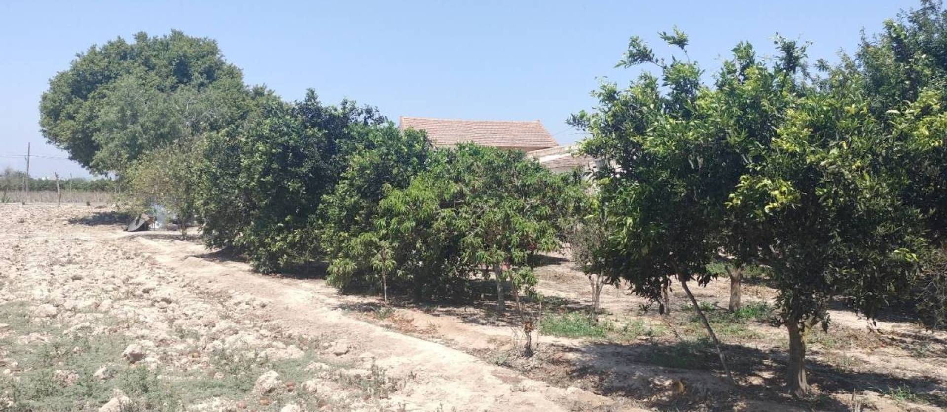 Sale - Country House - Rojales - Ciudad Quesada
