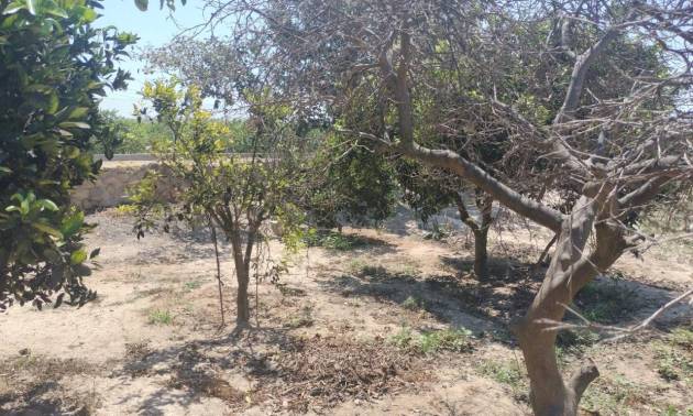 Sale - Country House - Rojales - Ciudad Quesada