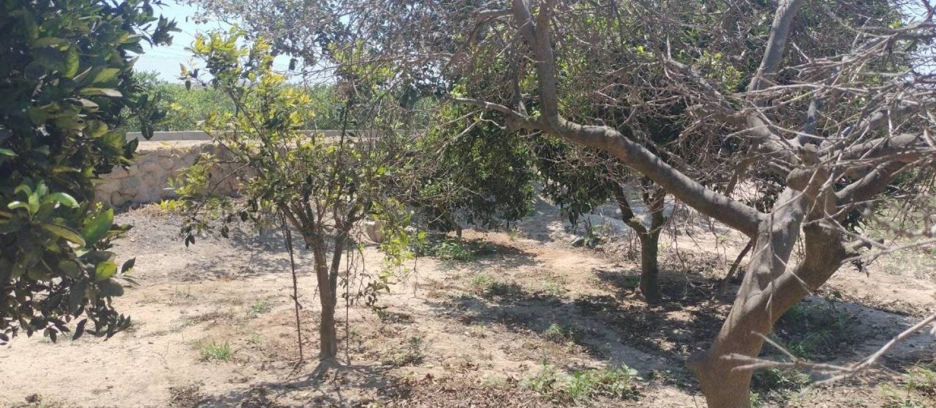 Sale - Country House - Rojales - Ciudad Quesada