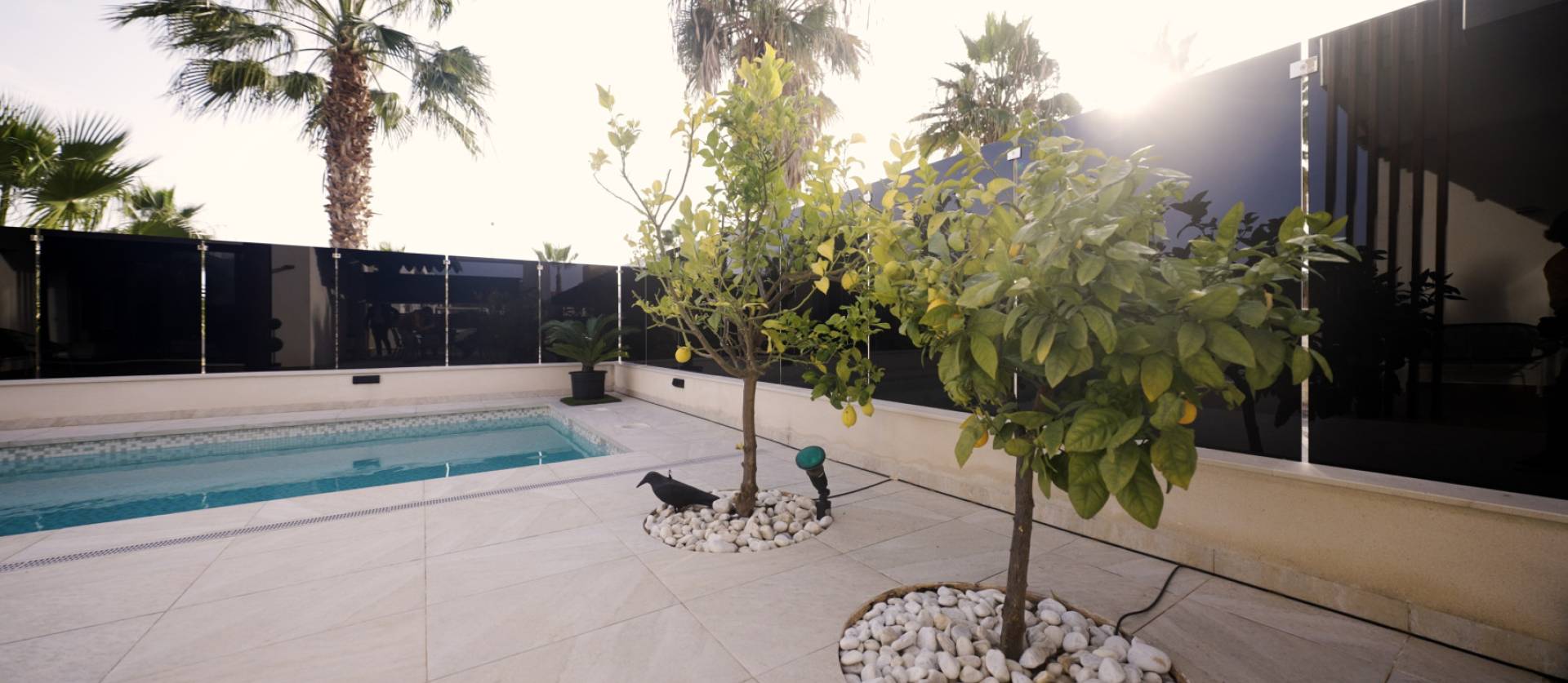 Nueva construcción  -  - Dehesa de Campoamor - Dehesa de campoamor