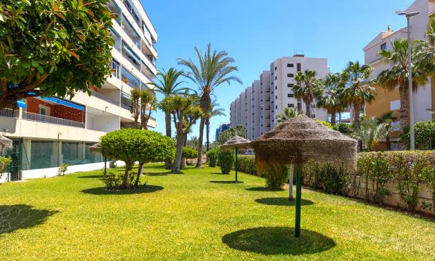 Sale - Apartment - Torrevieja - Rocio del mar
