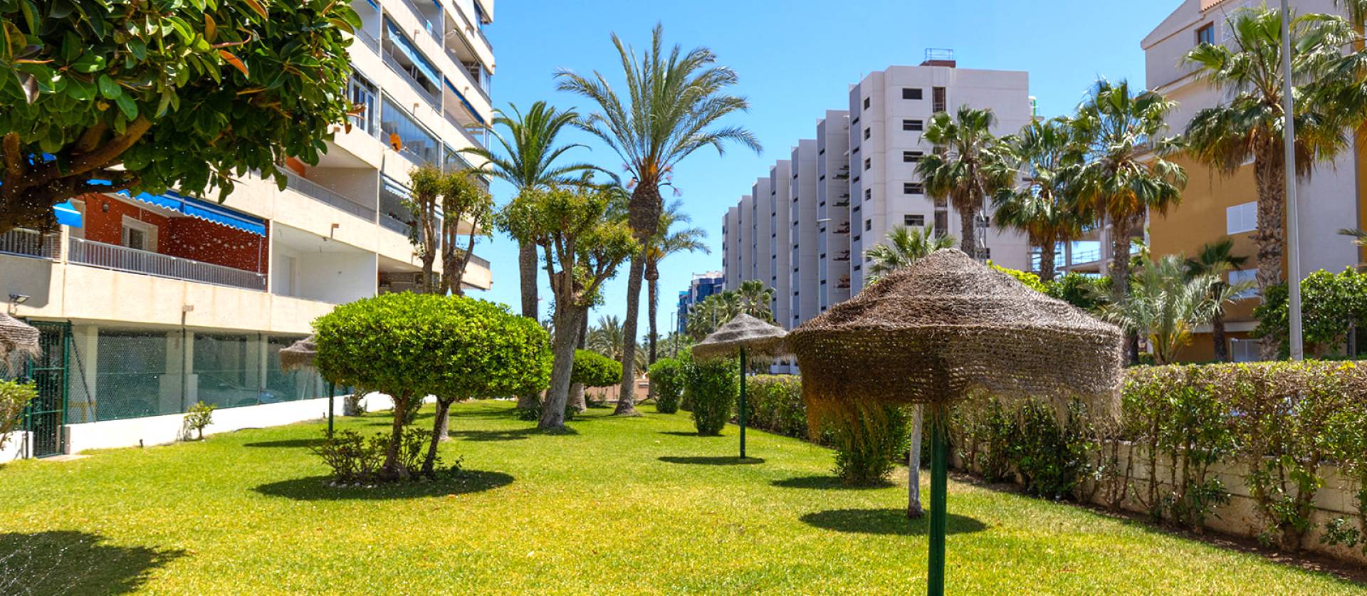 Sale - Apartment - Torrevieja - Rocio del mar
