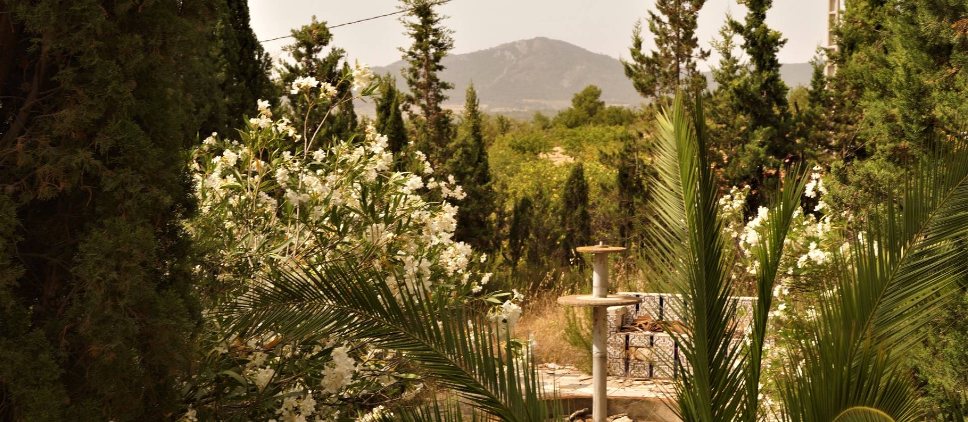 Sale - Commercial - Salinas