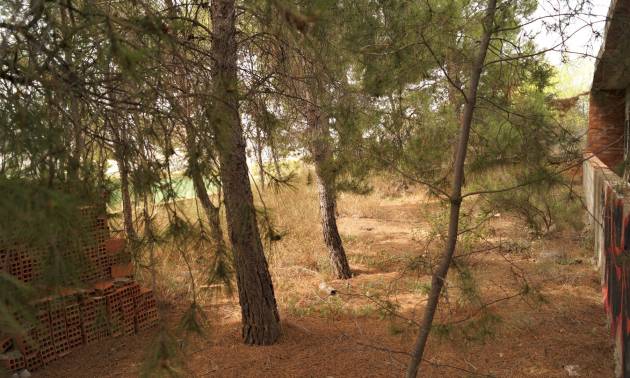 Sale - Commercial - Salinas