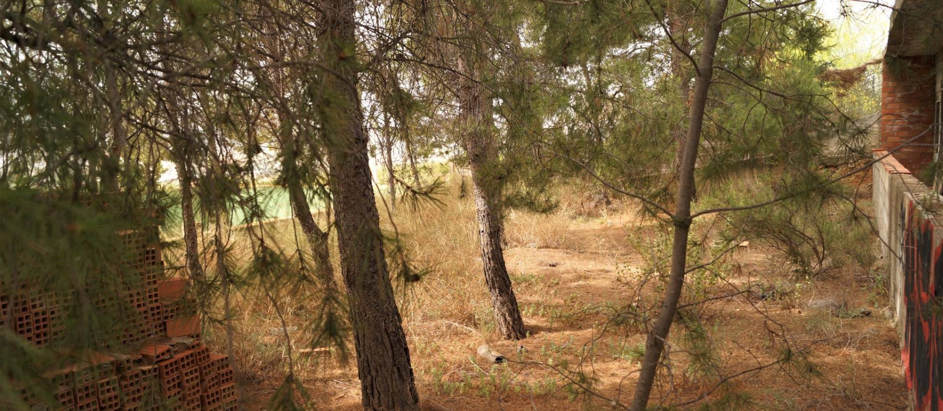 Sale - Commercial - Salinas