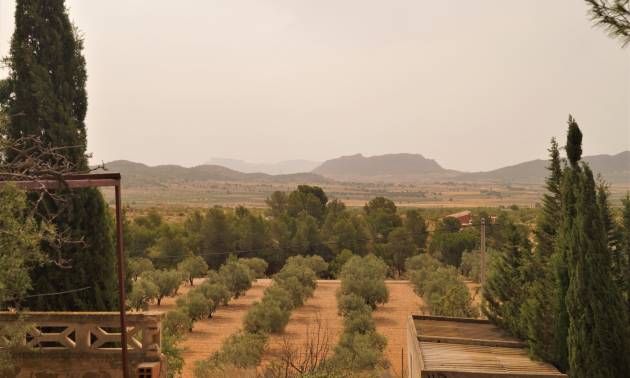 Sale - Commercial - Salinas