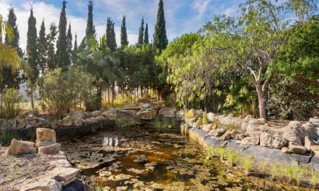 Sale - Country House - Catral