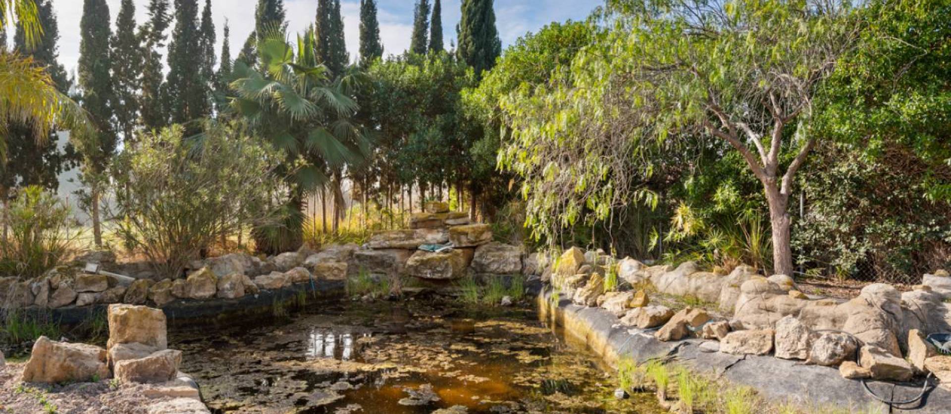 Sale - Country House - Catral