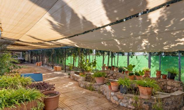 Sale - Country House - Catral