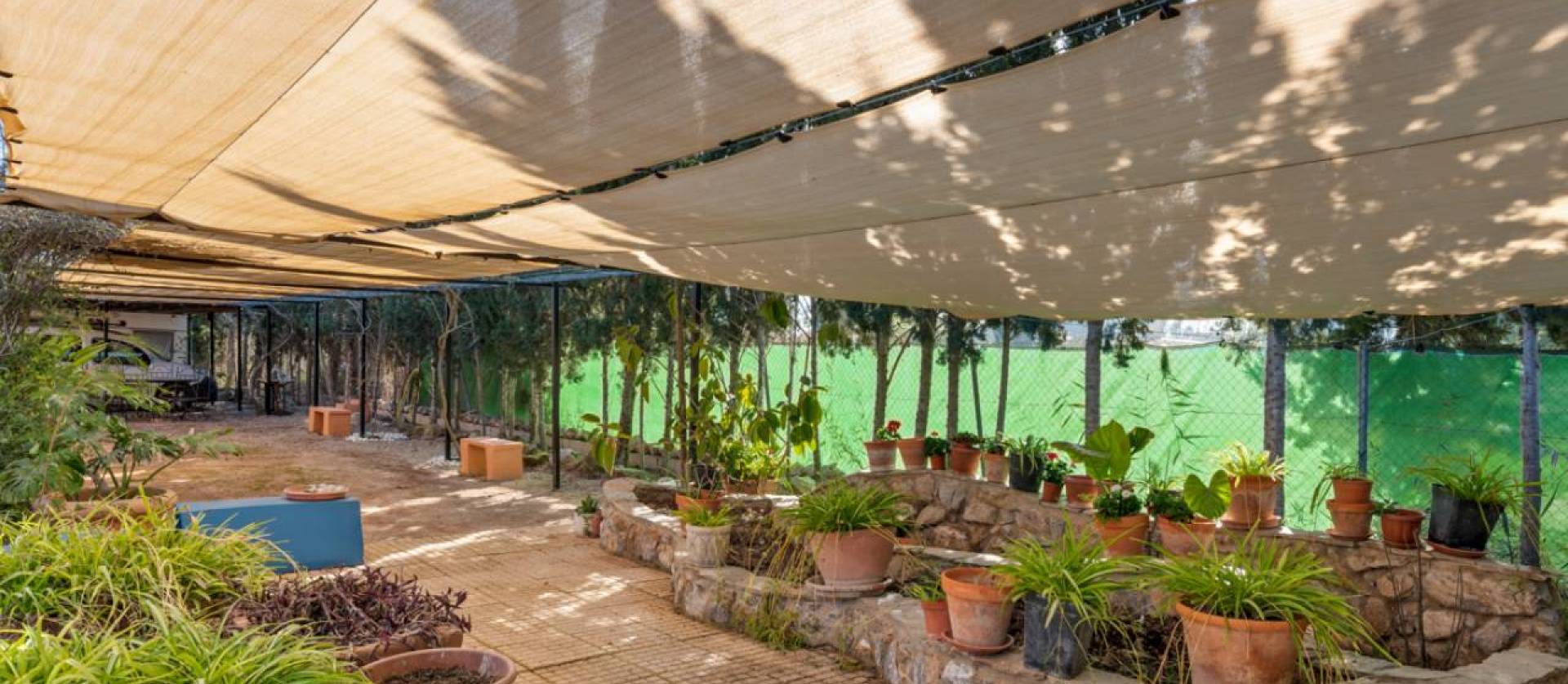 Sale - Country House - Catral