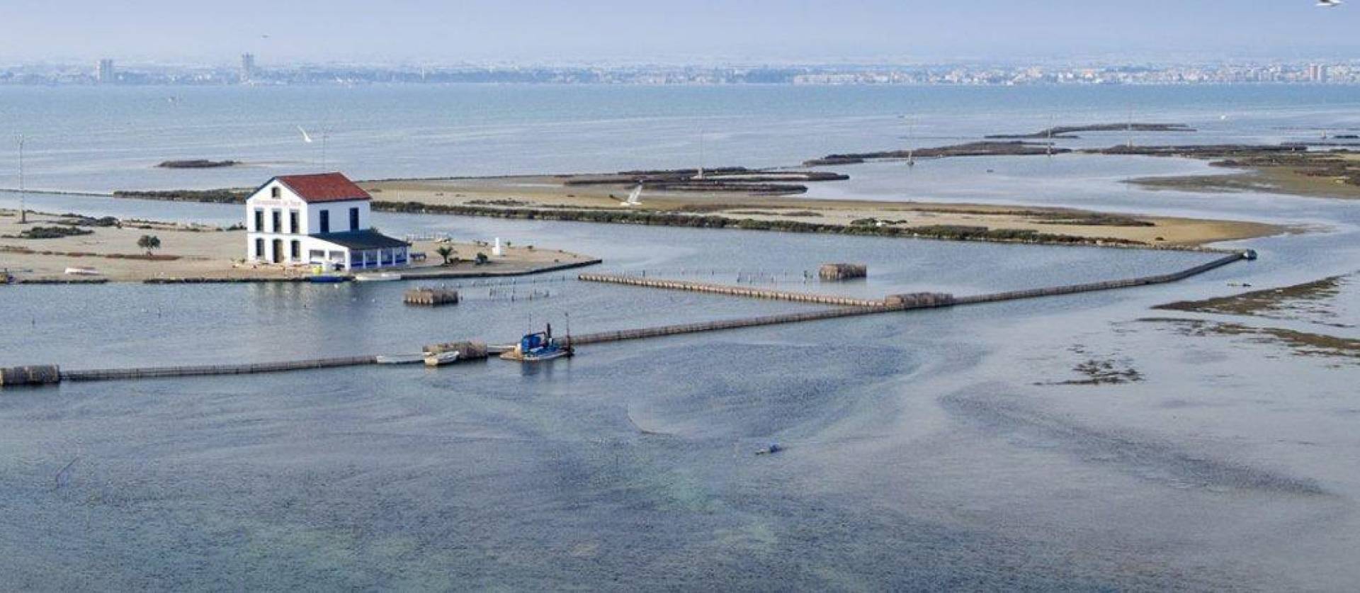 New Build - Villa - San Pedro del Pinatar - Centro