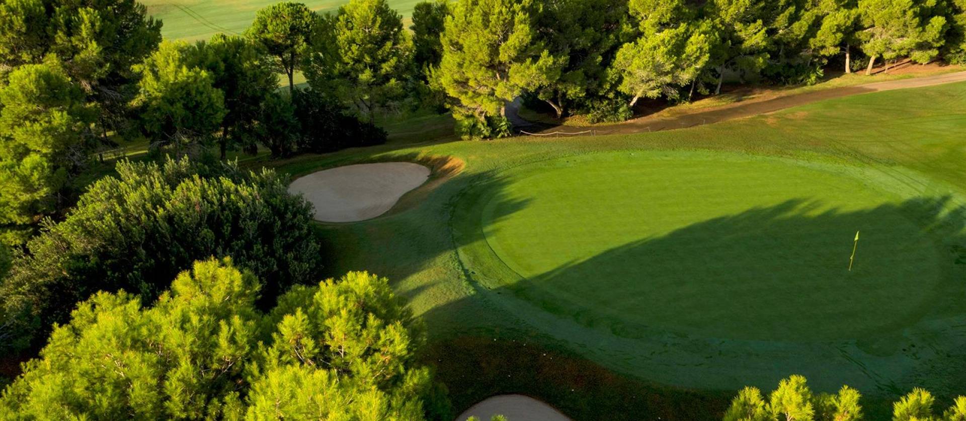 New Build - Villa - Pilar de la Horadada