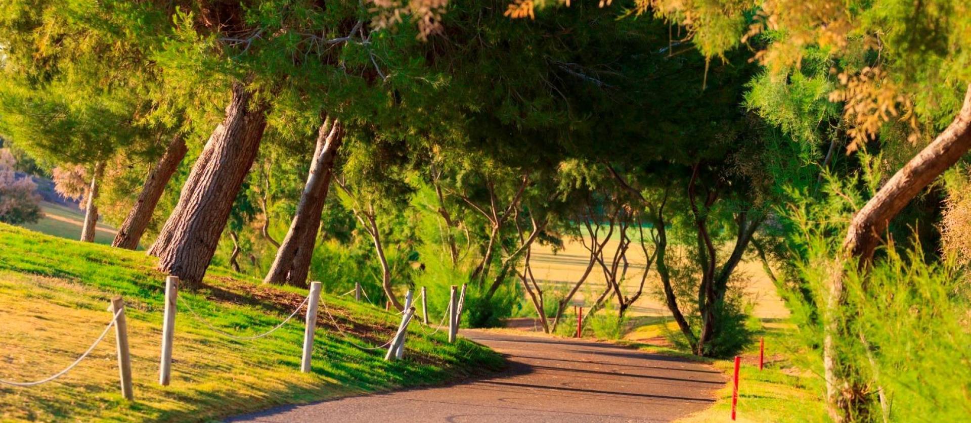 New Build - Villa - Pilar de la Horadada