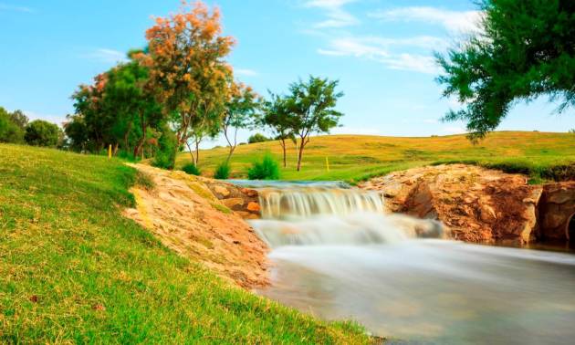 New Build - Villa - Pilar de la Horadada