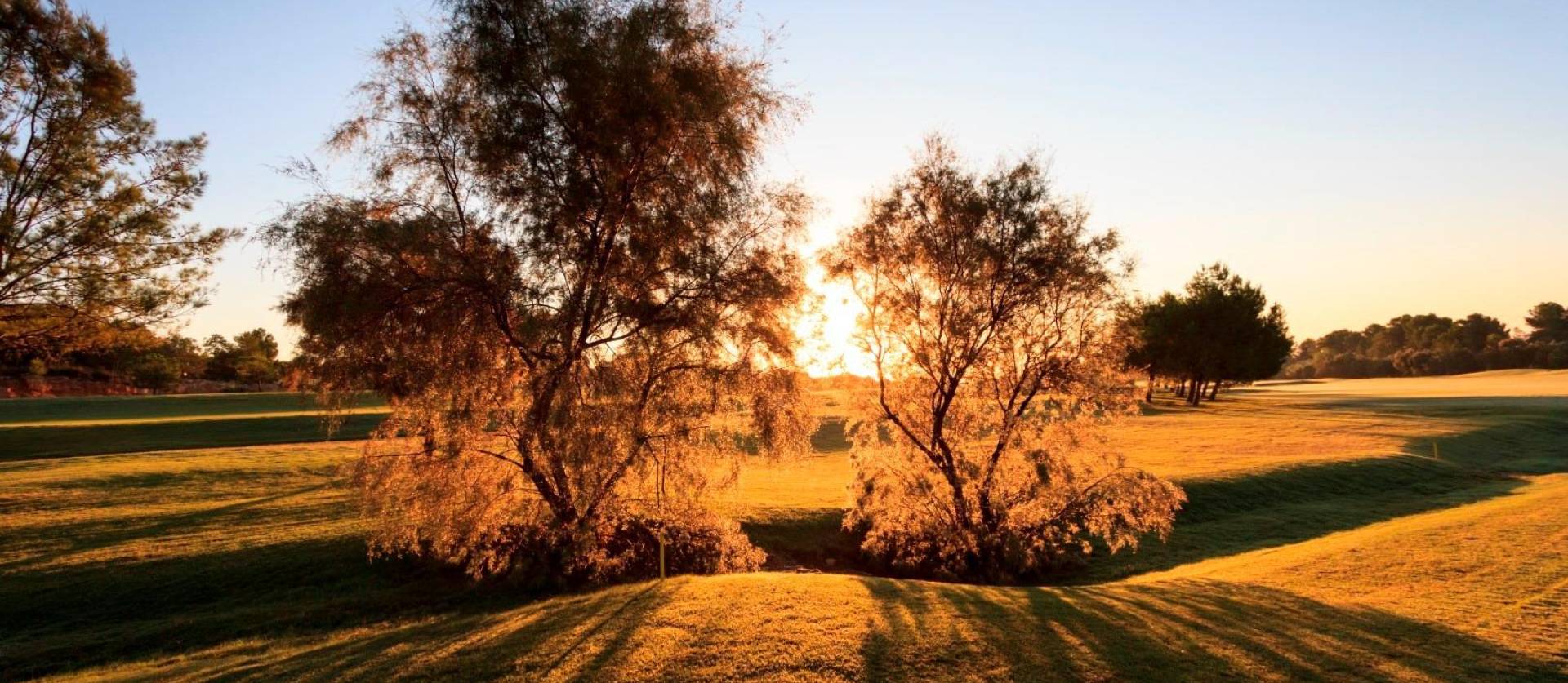 New Build - Villa - Pilar de la Horadada