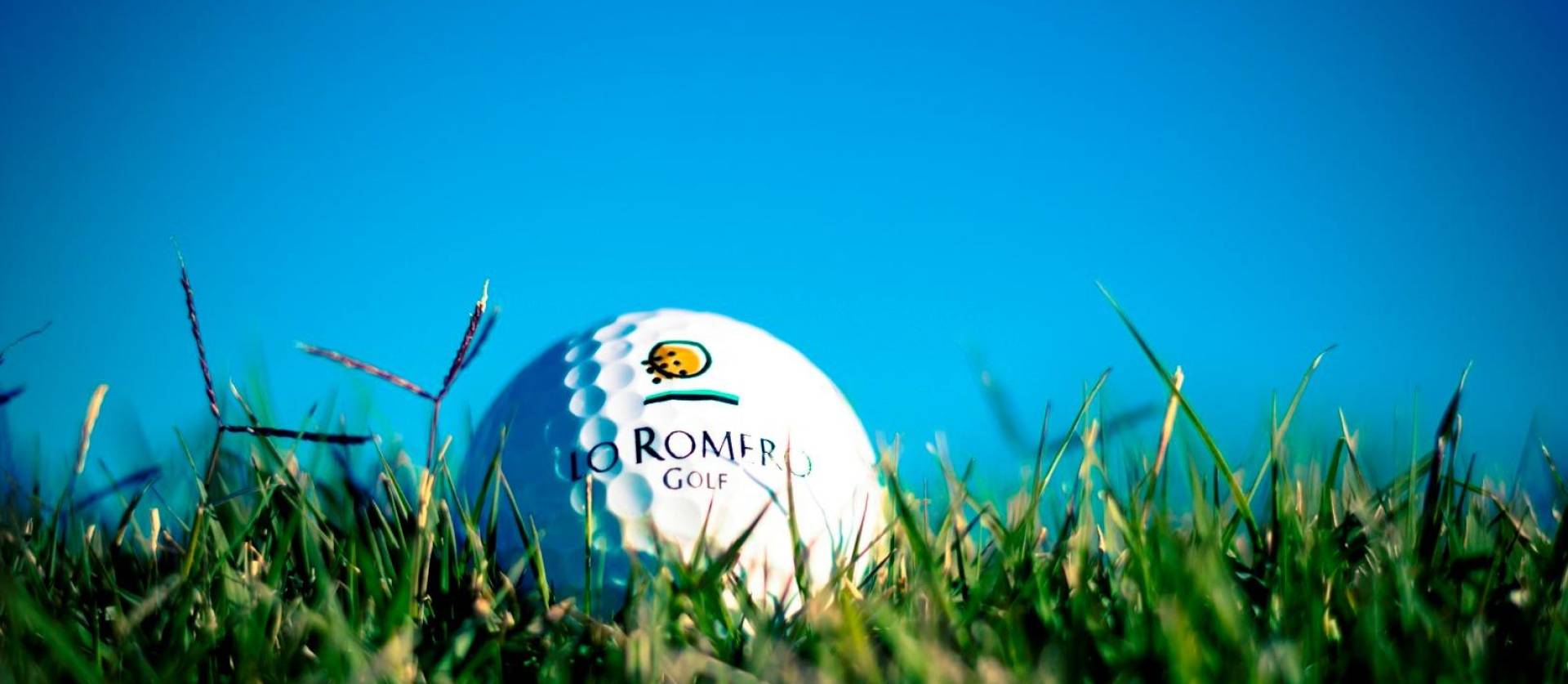 New Build - Villa - Pilar de la Horadada