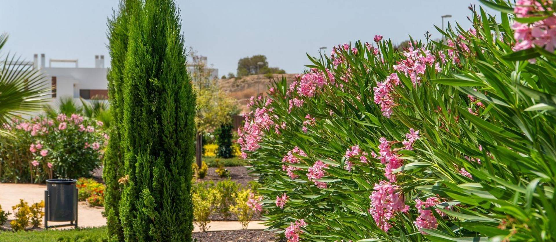 Nieuwbouw projecten -  - Orihuela