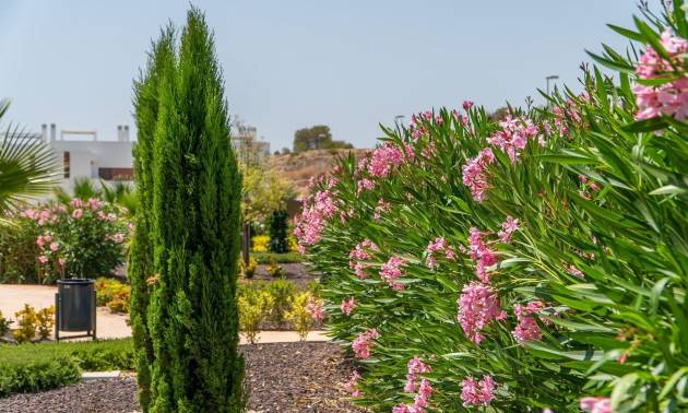 Nieuwbouw projecten -  - Orihuela