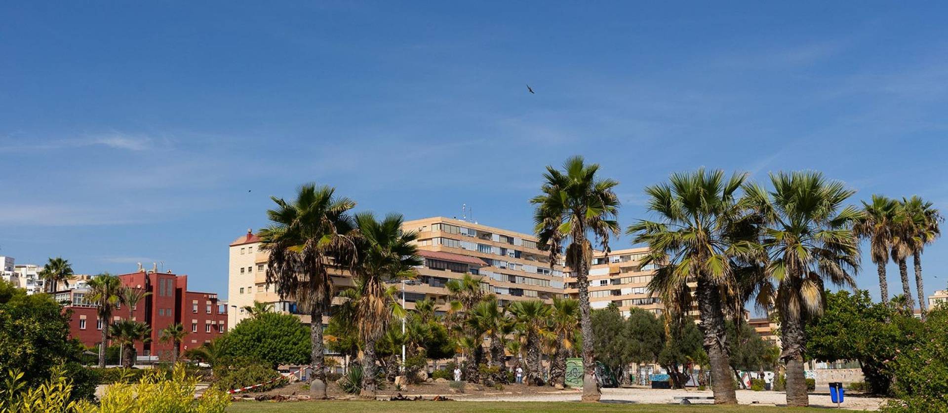 Sale - Apartment - Torrevieja - La Mata