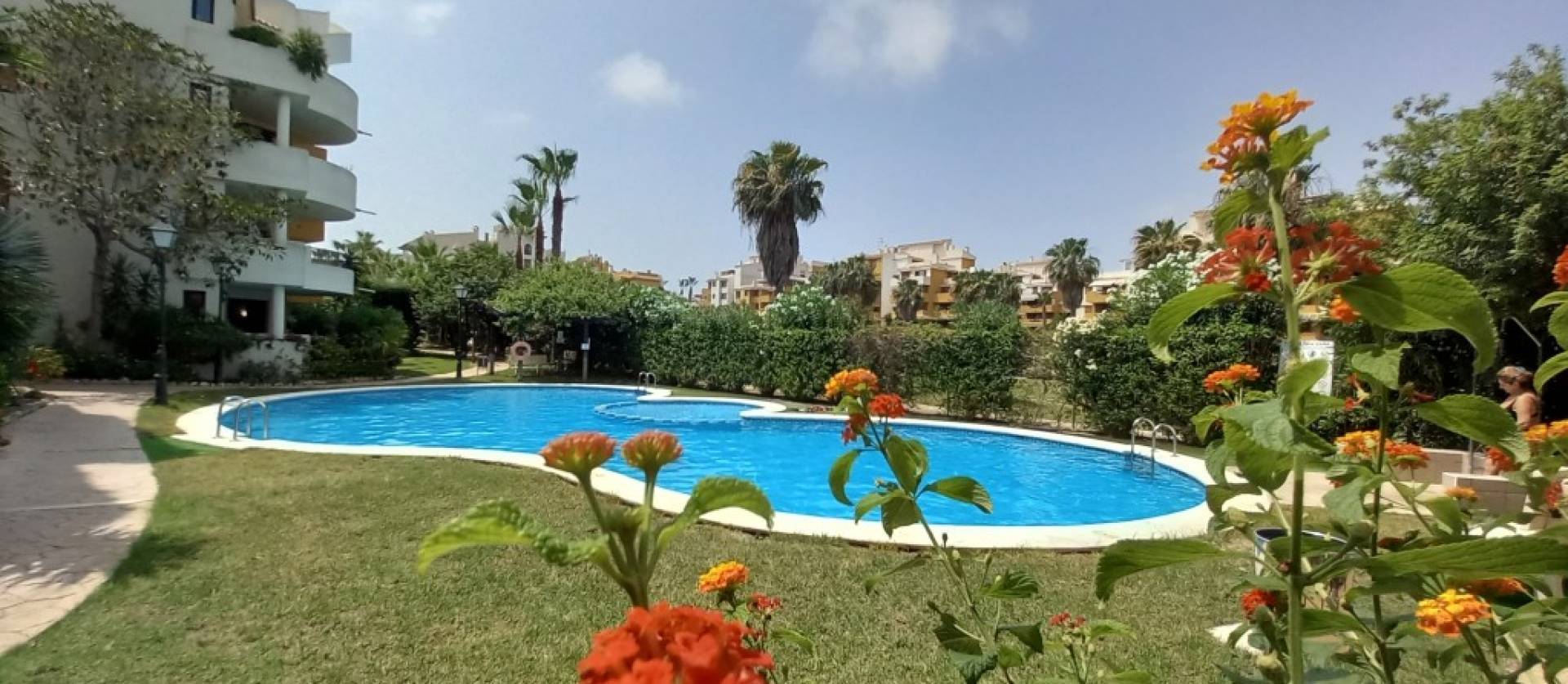 Revente - Apartment - Punta Prima