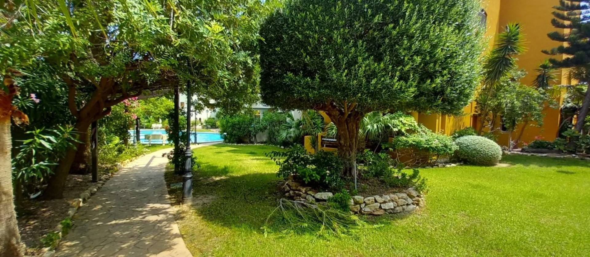 Revente - Apartment - Punta Prima