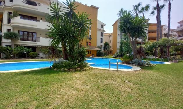 Revente - Apartment - Punta Prima