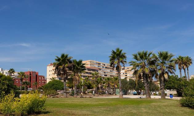 Bestaande woningen - Appartment - Torrevieja
