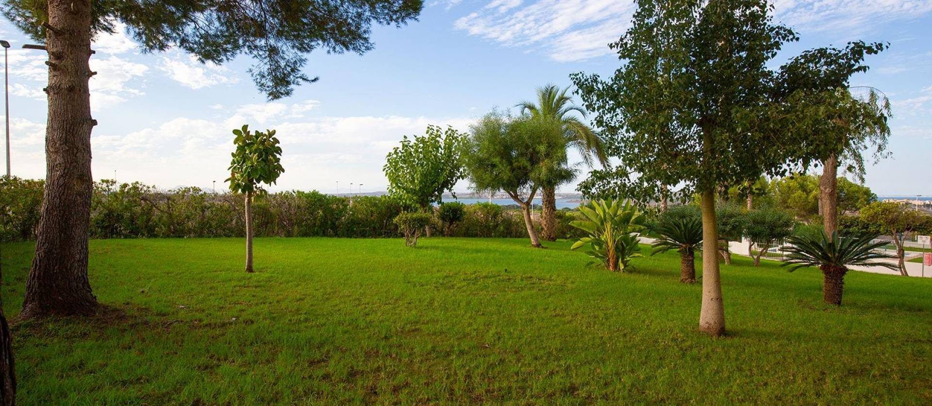 Sale - Apartment - Torrevieja - Torreblanca