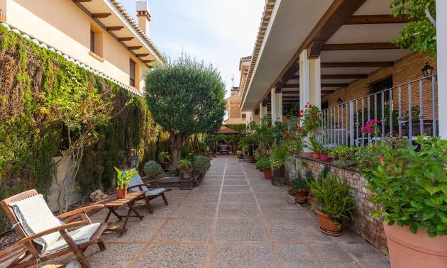 Sale - Villa - Torrevieja - La veleta