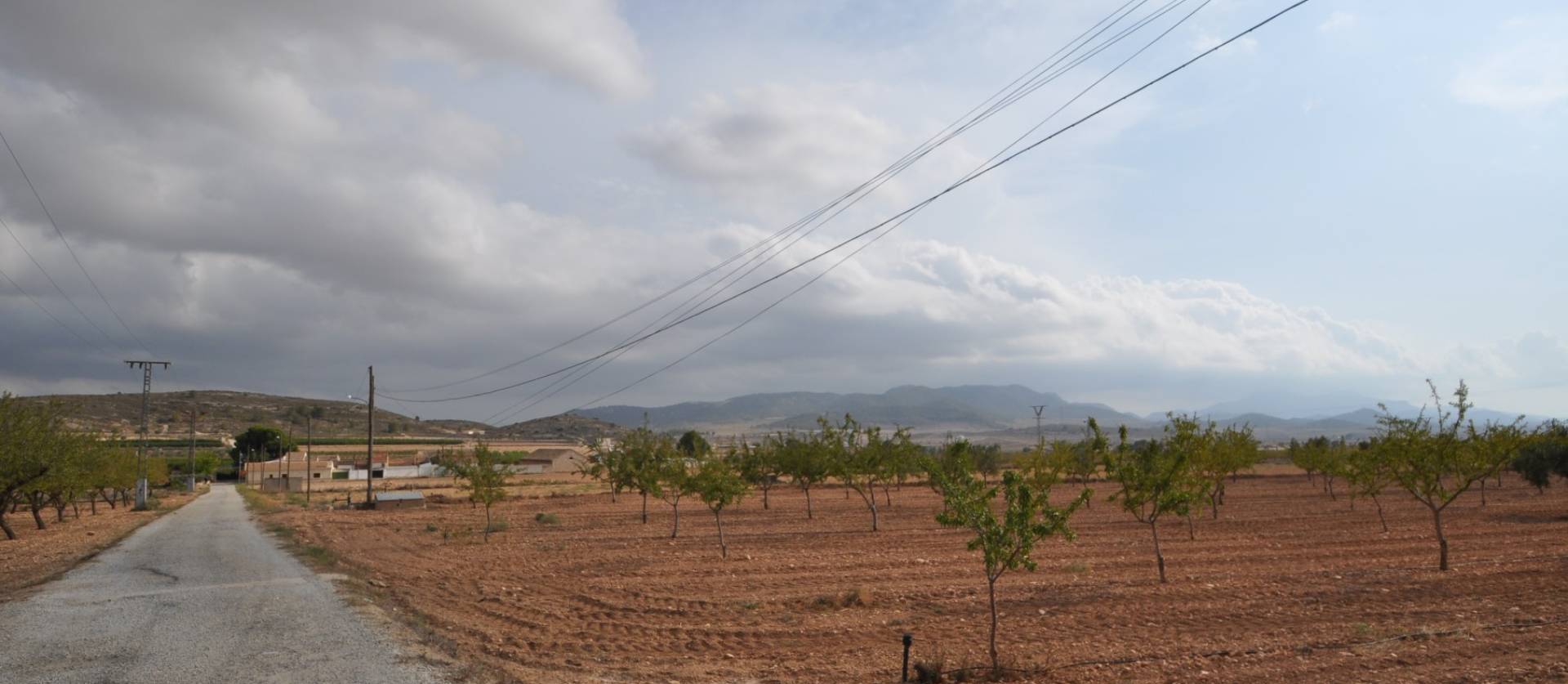 Bestaande woningen - Landelijk huis - Pinoso