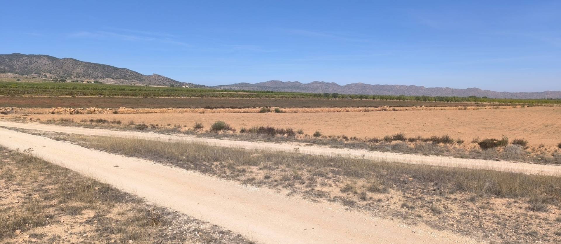 Sale - Land - Pinoso