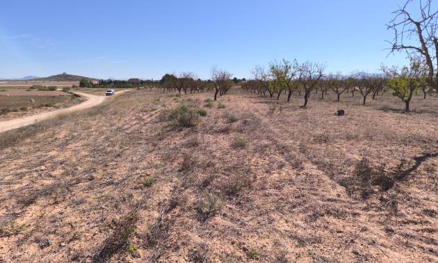 Sale - Land - Pinoso