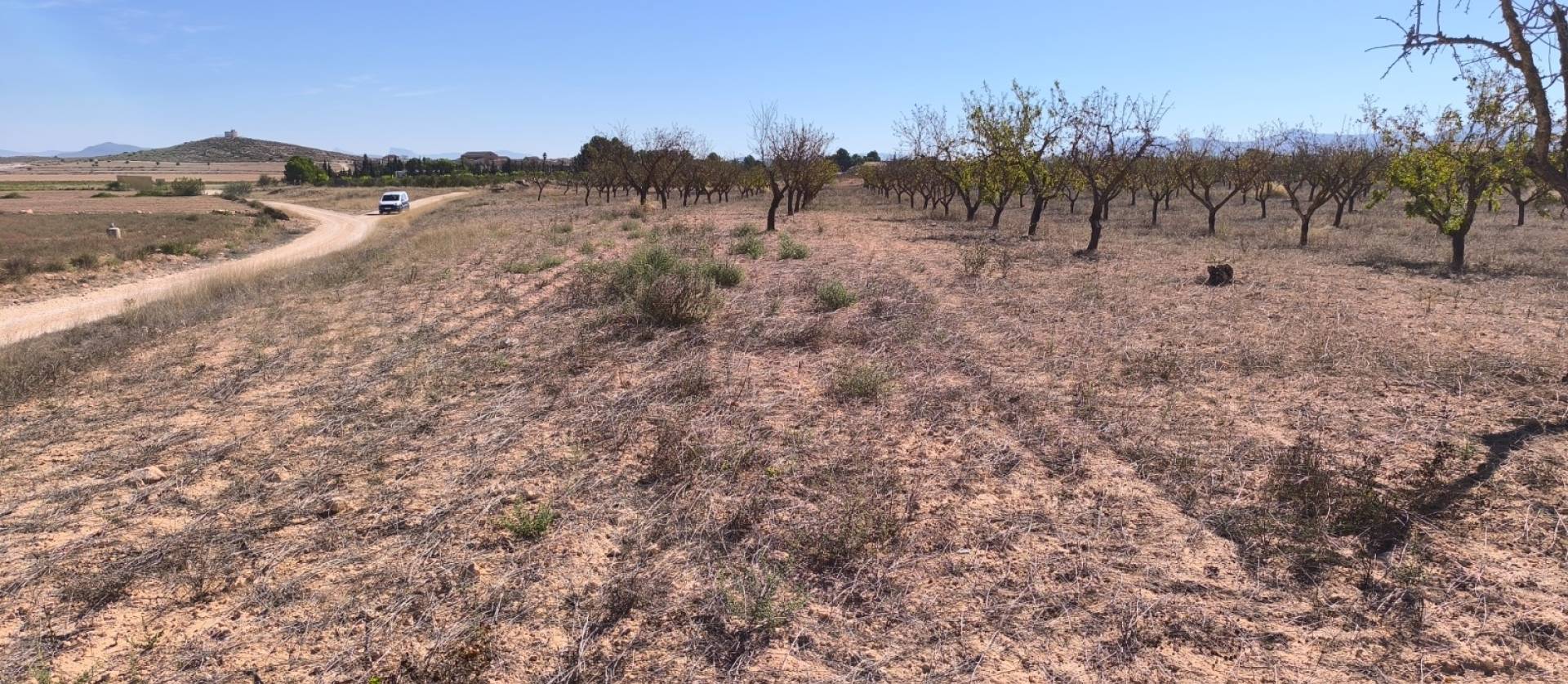 Sale - Land - Pinoso