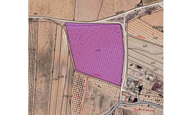 Sale - Land - Pinoso