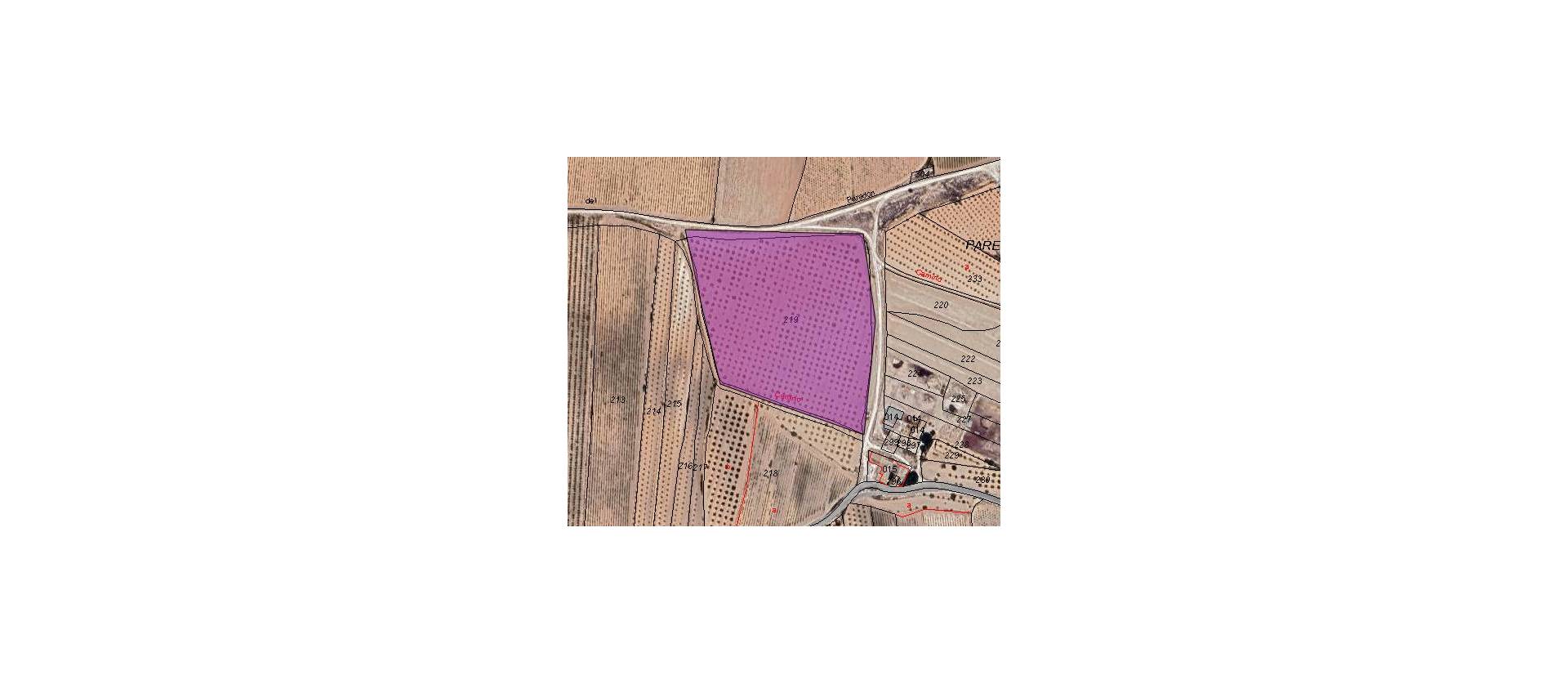 Sale - Land - Pinoso