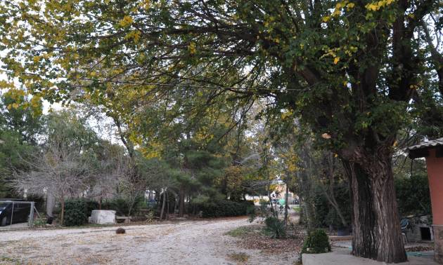 Sale - Townhouse - Pinoso