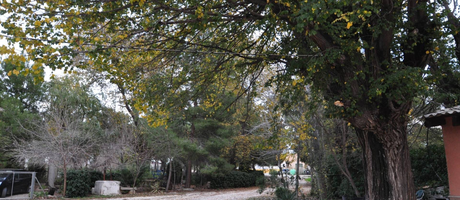 Sale - Townhouse - Pinoso