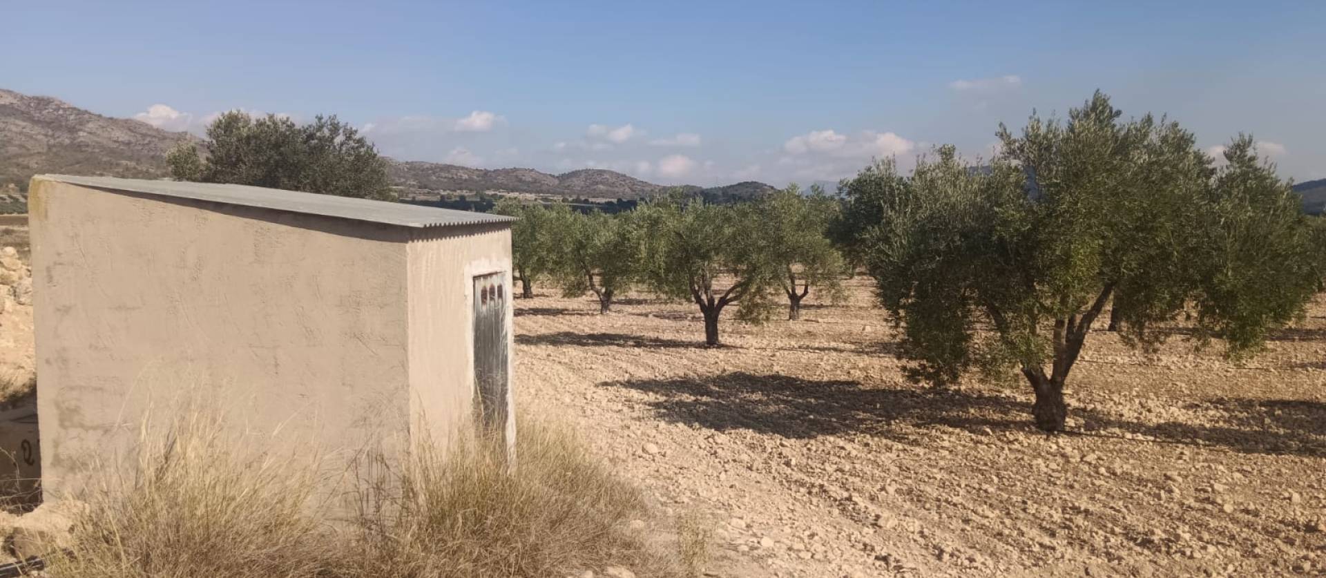 Sale - Land - Salinas