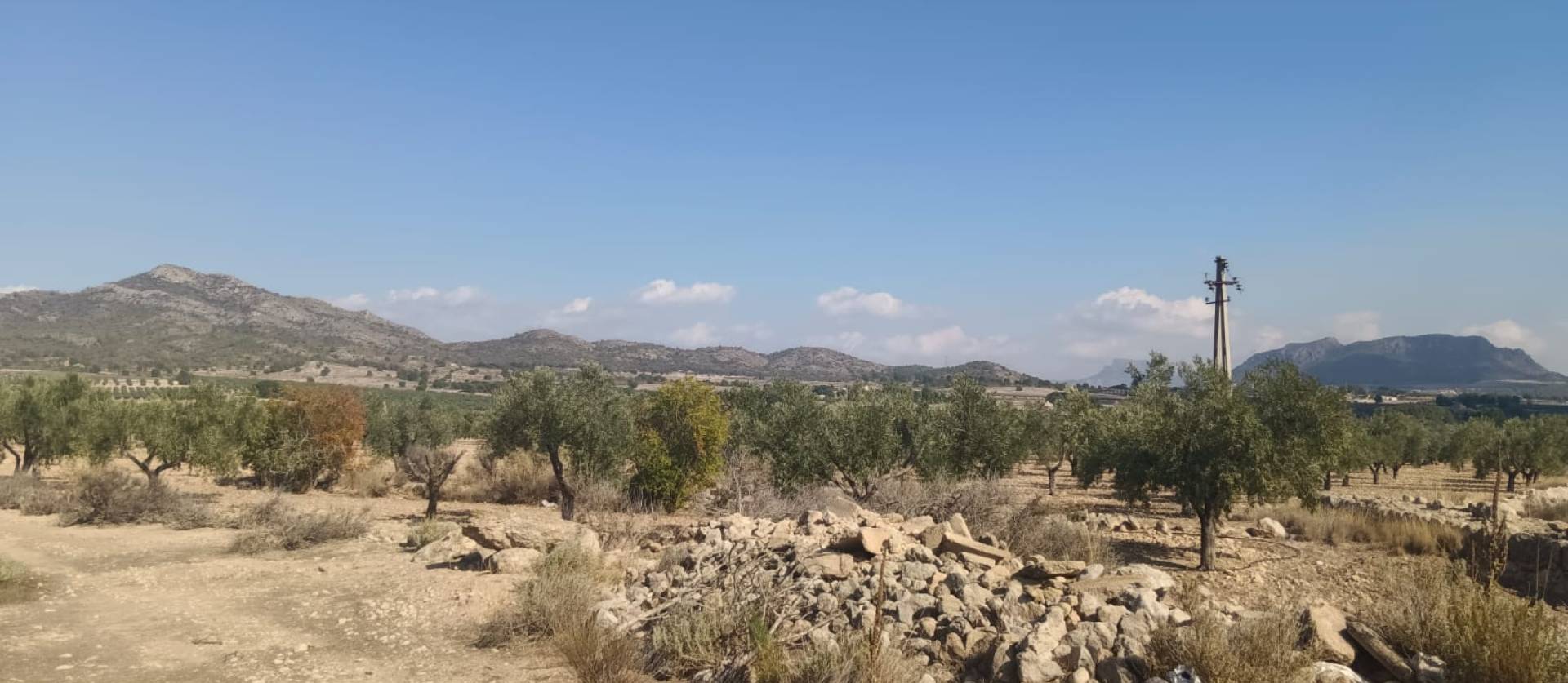 Sale - Land - Salinas